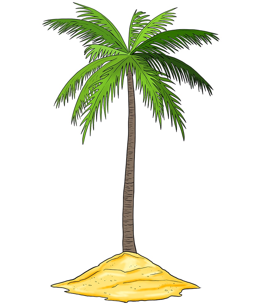 Palm Tree Drawing 11