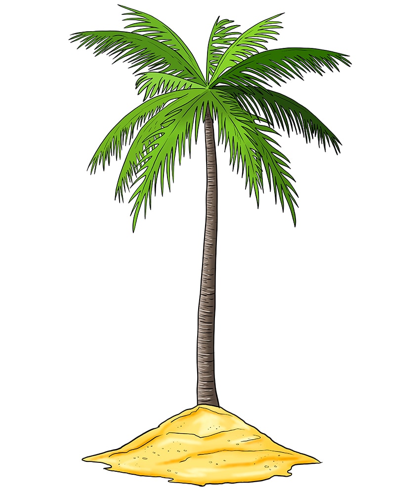 Image of Coconut Tree, Vector or Color Illustration Stock Vector -  Illustration of exotic, paradise: 160164812