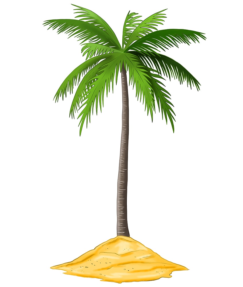 Palm Tree Drawing 15