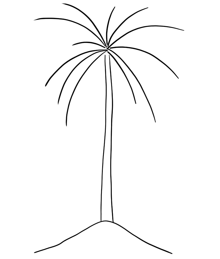 how to draw a palm tree step by step