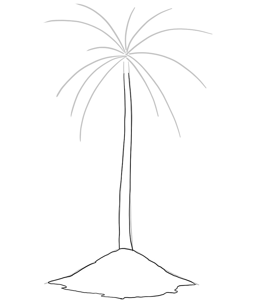 Palm Tree Drawing 5