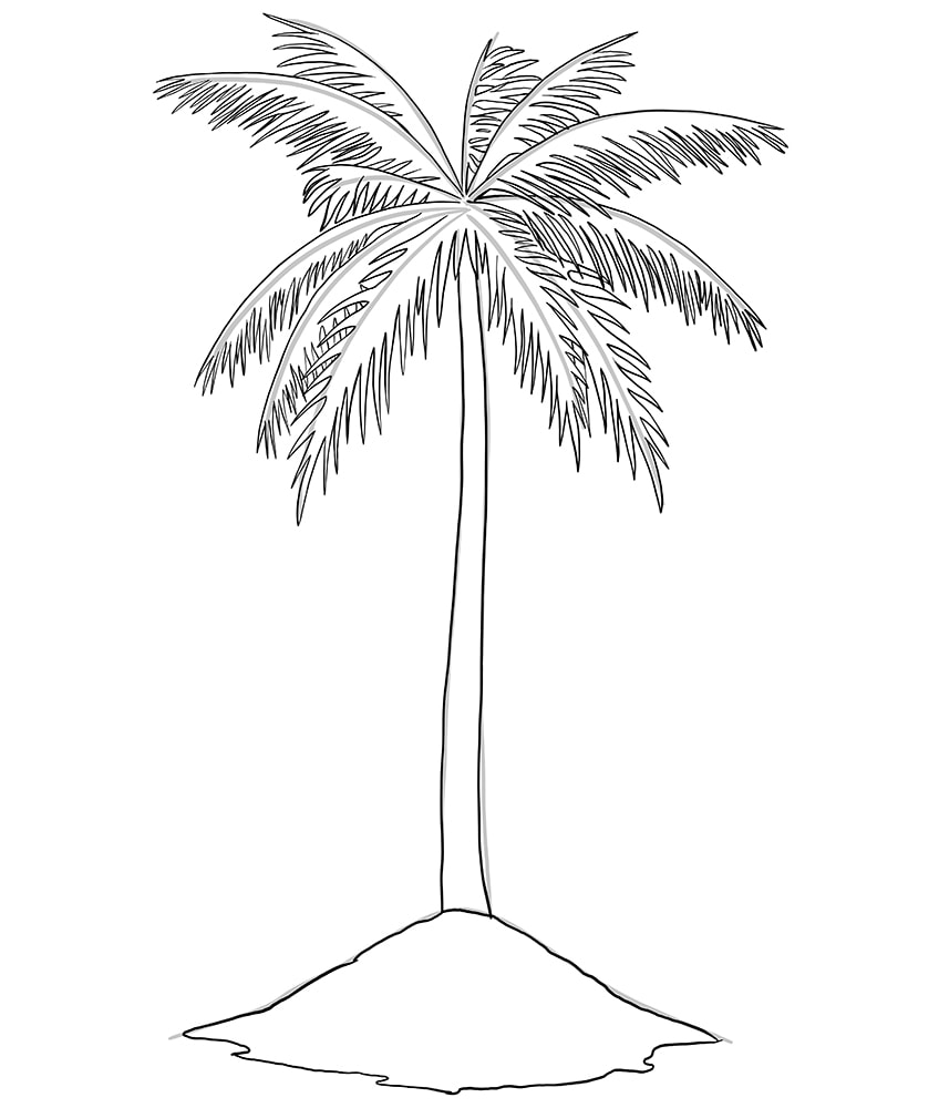 Palm Tree Drawing 6