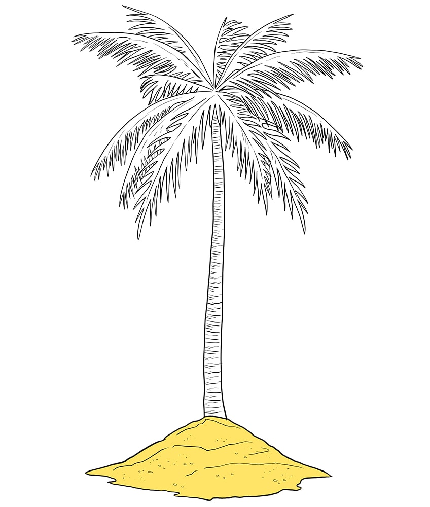 How to Draw a Palm Tree - A Step-by-Step Palm Tree Drawing Tutorial