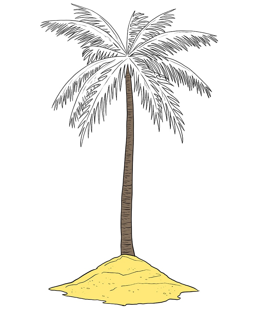 Palm Tree Drawing 9