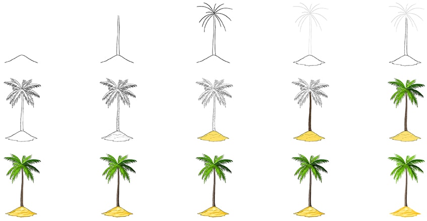 Simple Palm Tree Drawing