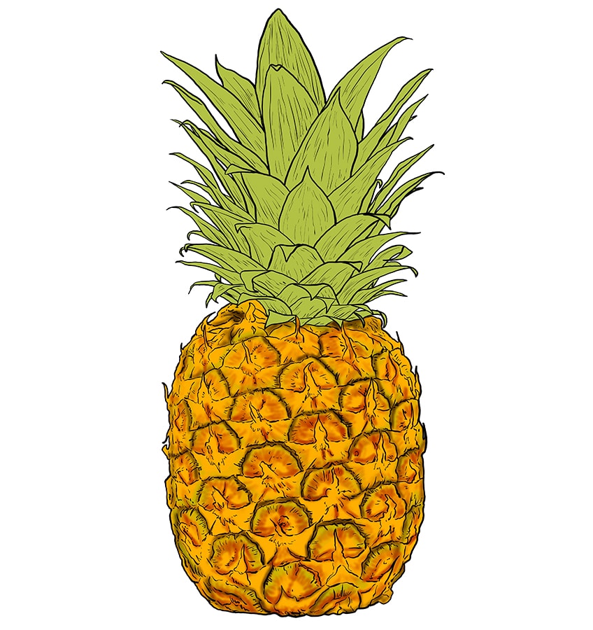 Pineapple Drawing 10