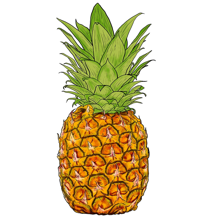 Step by Step To Draw a Pineapple. Drawing Tutorial a Pineapple. Drawing  Lesson for Children. Vector Illustration Stock Vector - Illustration of  kids, tutorial: 251468854