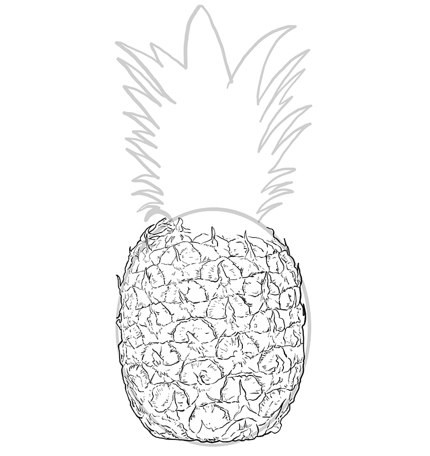 Pineapple Drawing 4
