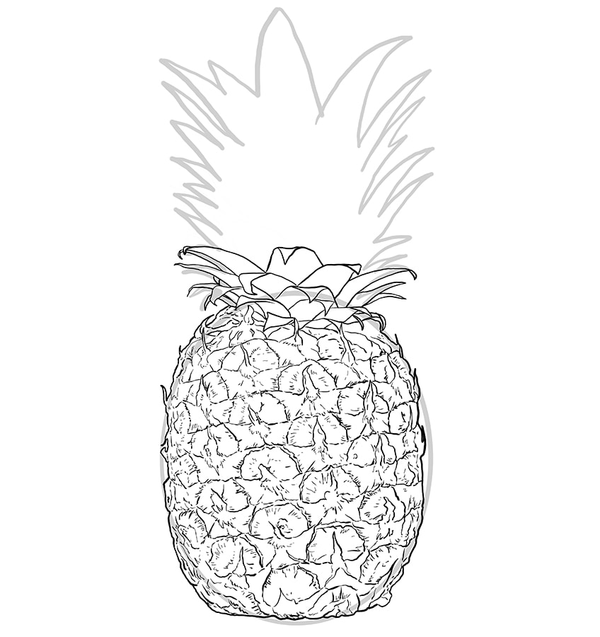 pineapple drawing outline