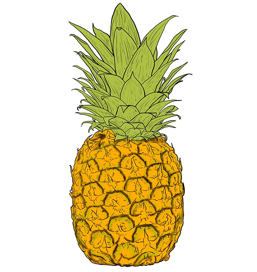 Pineapple Drawing 9