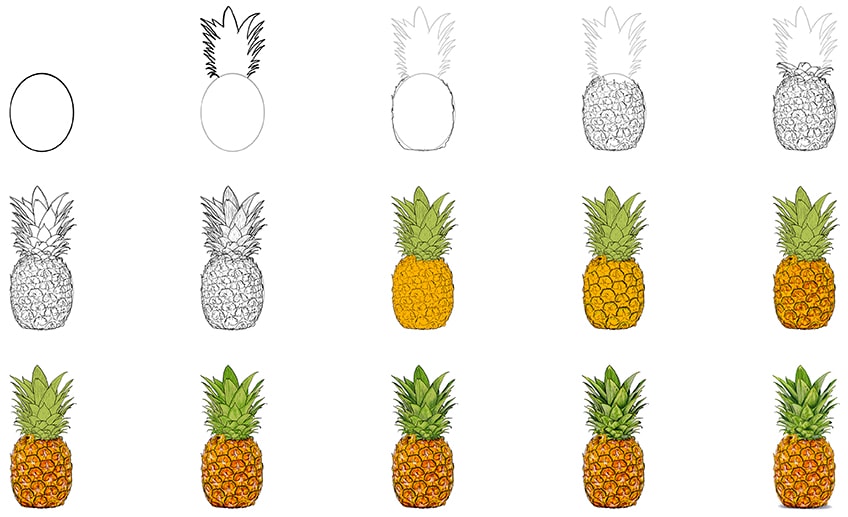 Pineapple Sketch Vector Images (over 4,900)