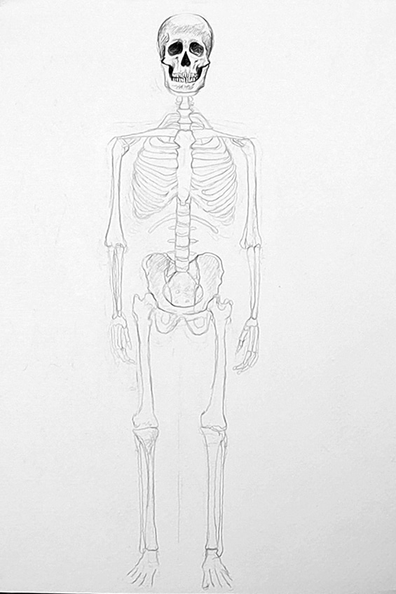 Skeleton Drawing 18