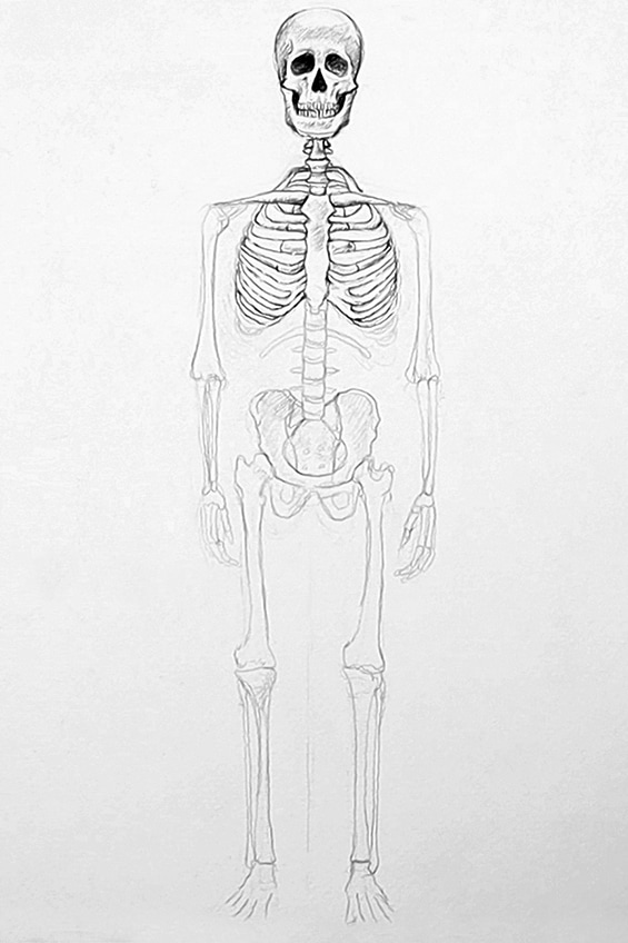 Skeleton Drawing 22