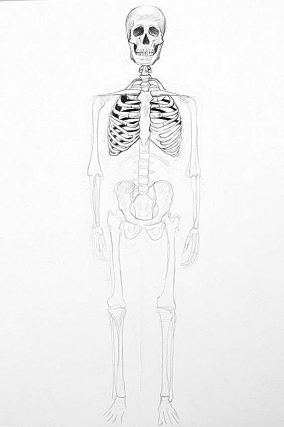 Skeleton Drawing 25