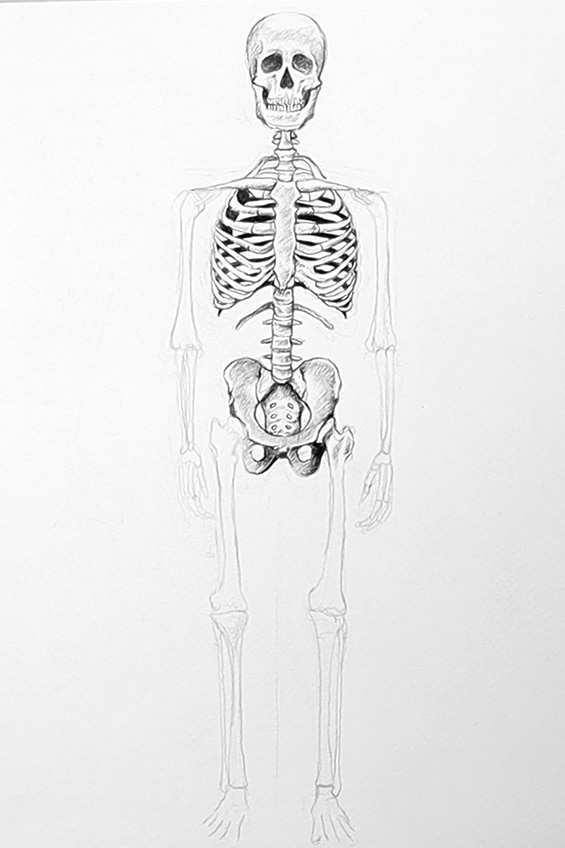 Skeleton Drawing 28