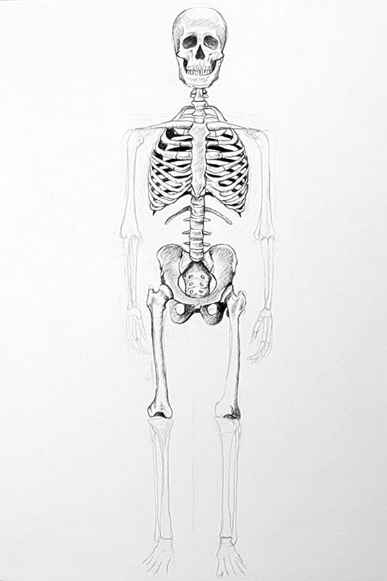 Skeleton Drawing 30