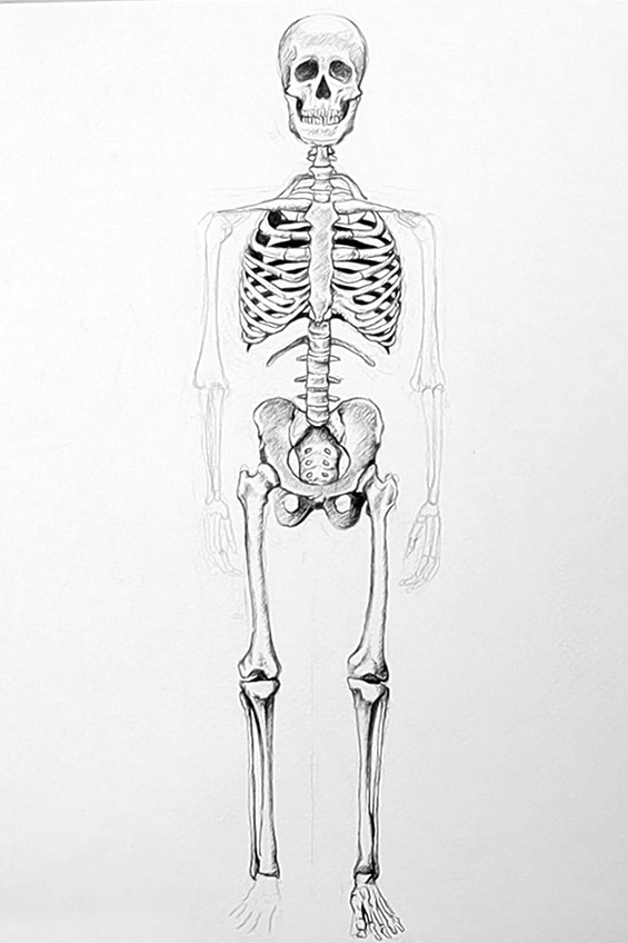 Skeleton Sketch 32