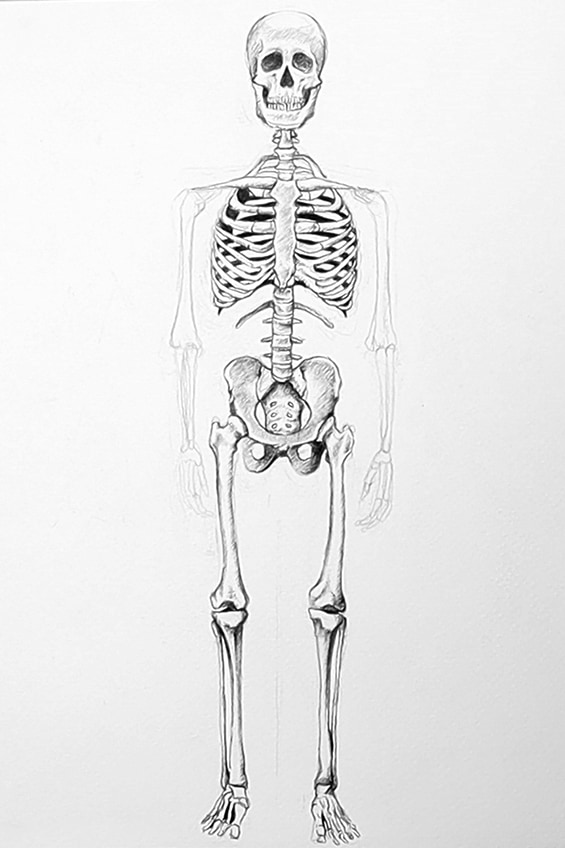 Skeleton Sketch 33