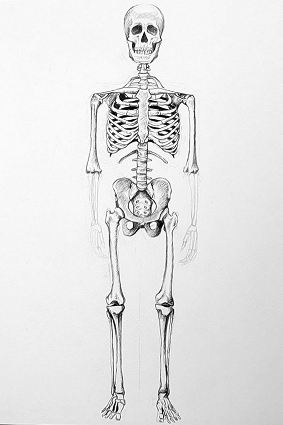 Skeleton Sketch 35