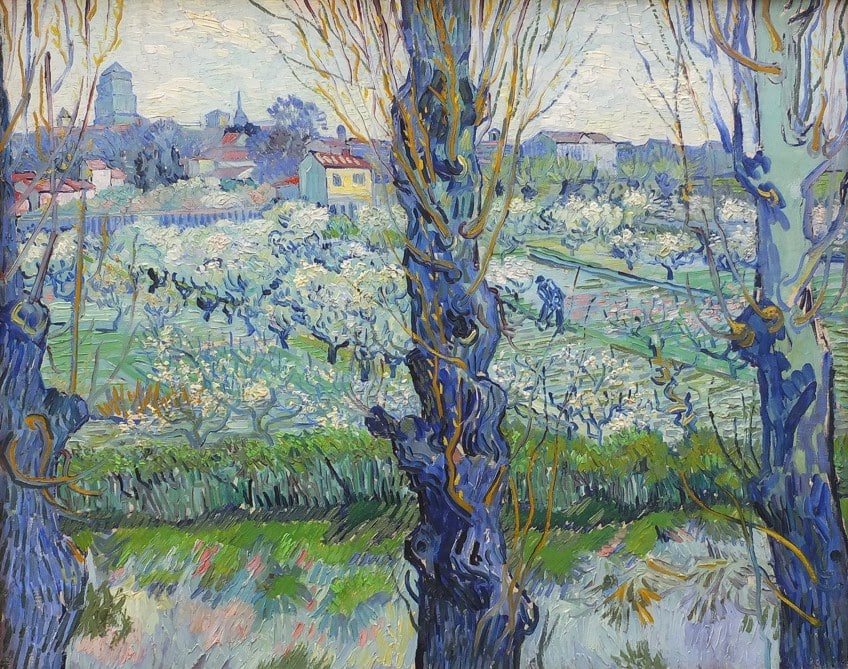 Vincent van Gogh, life & artistic legacy – artlia