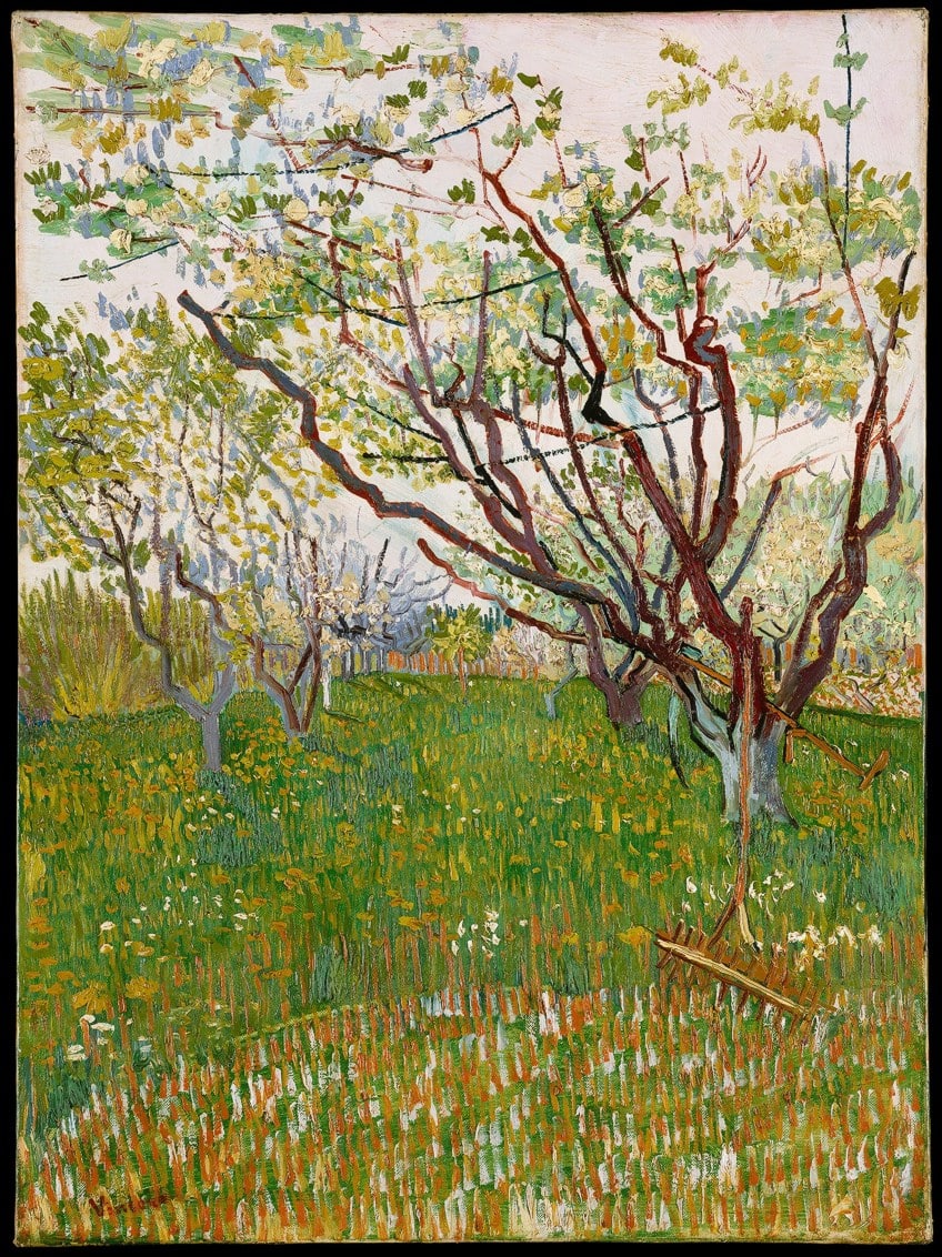 Vincent Willem van Gogh Paintings