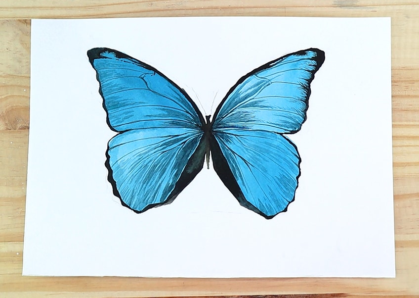 Watercolor Butterfly Tutorial