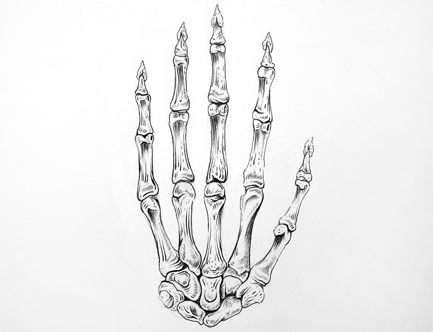 skeleton hand holding drawing