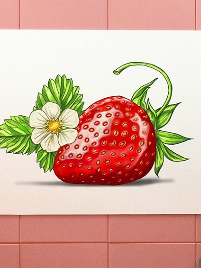 Strawberry Drawing – A Step-by-Step Guide!