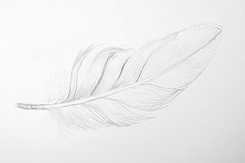 easy feather drawing 08