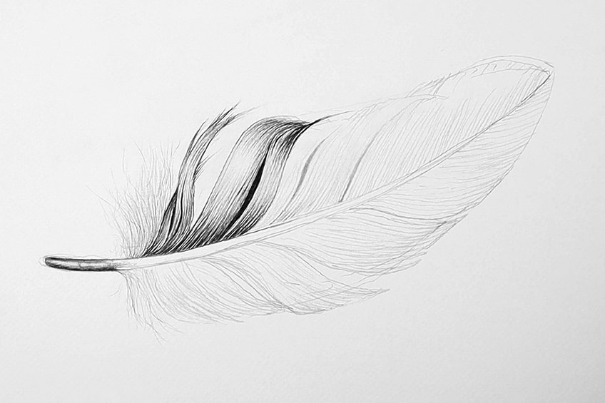 easy feather drawing 10