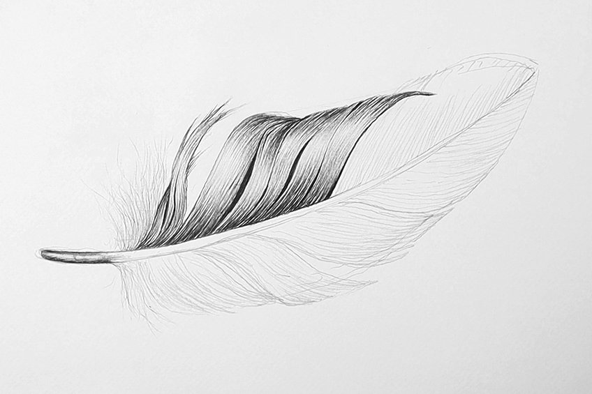 easy feather drawing 13