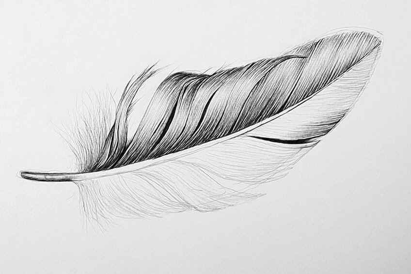 easy feather drawing 16