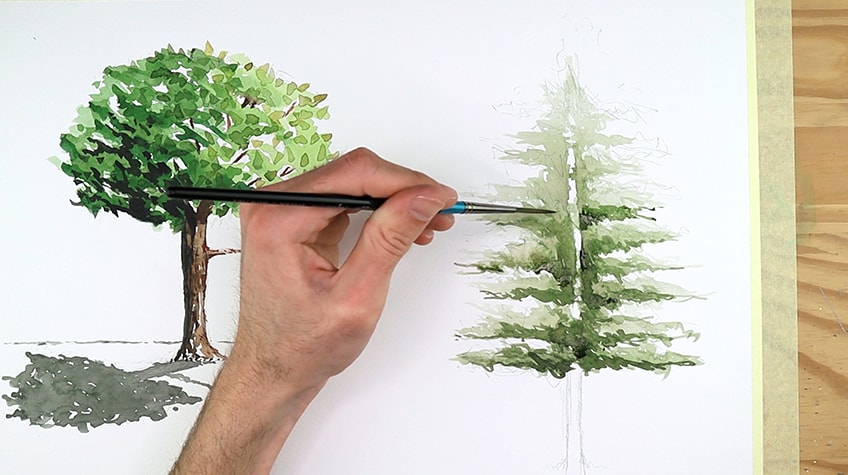 watercolor trees techniques