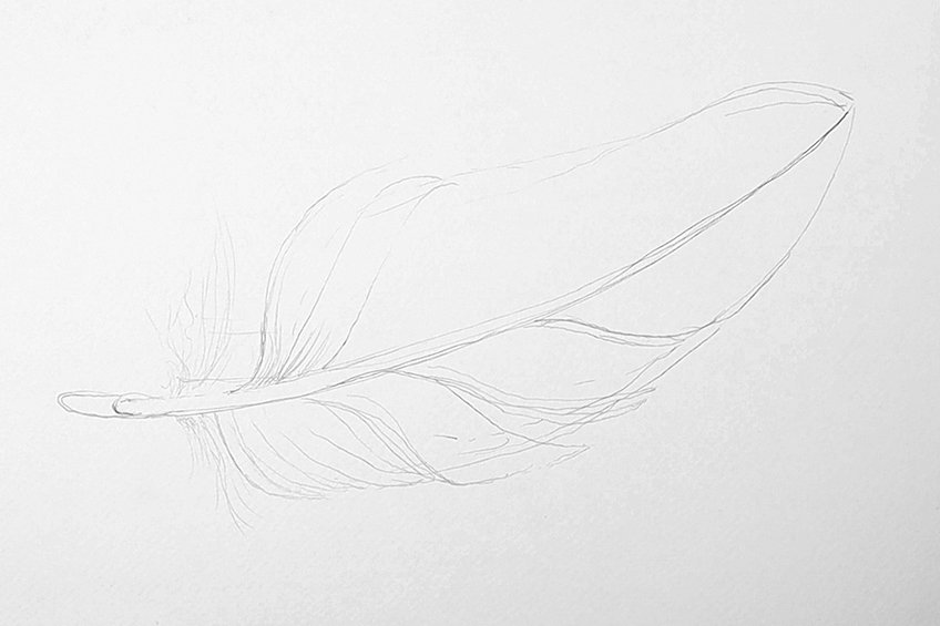 feather drawing 03