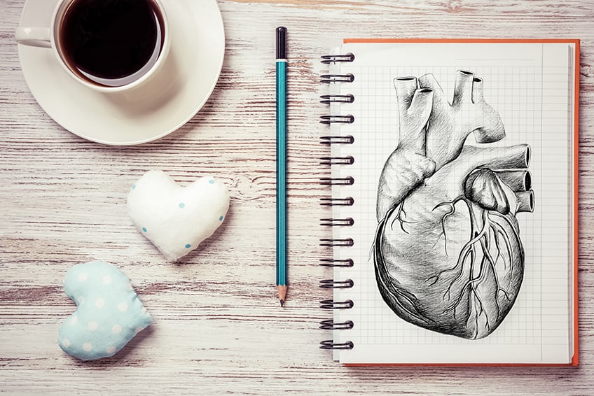 how to draw a human heart