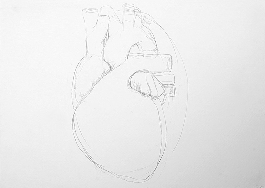 human heart drawing 03