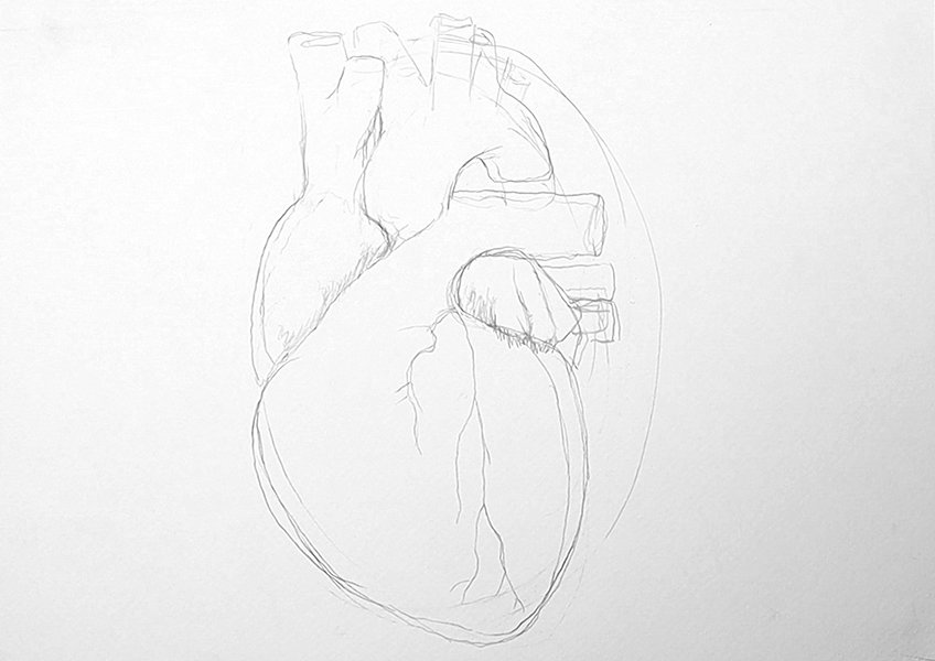 human heart drawing 04