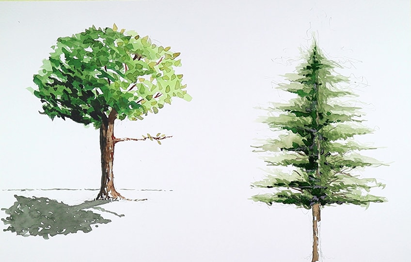 How to Paint Watercolor Trees An Easy Guide to Watercolor Trees