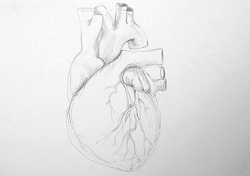 realistic heart drawing 07