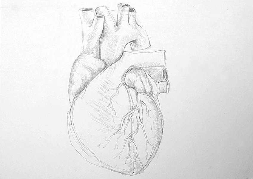 realistic heart drawing 08