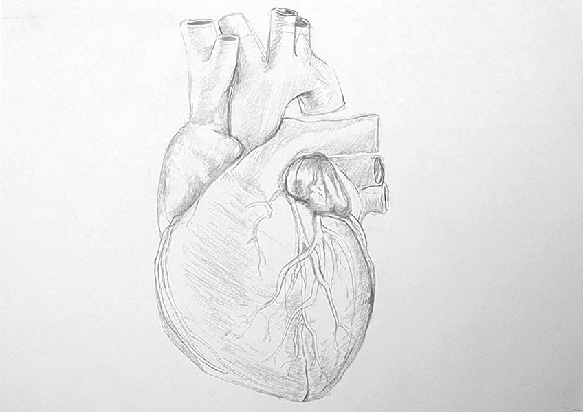 realistic heart drawing 10