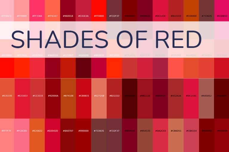 Scarlet Shades and Symbolism in Website Design