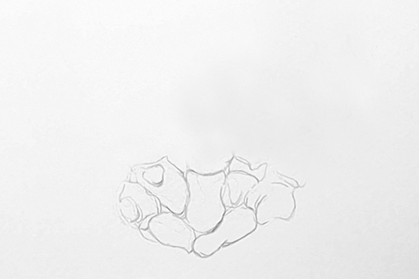 skeleton hand drawing 01