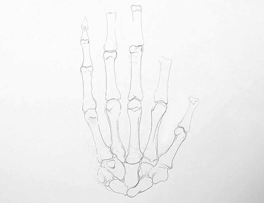 skeleton hand drawing 04