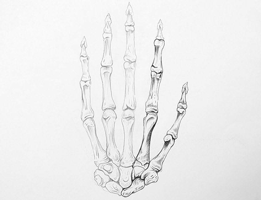 skeleton hand sketch 14