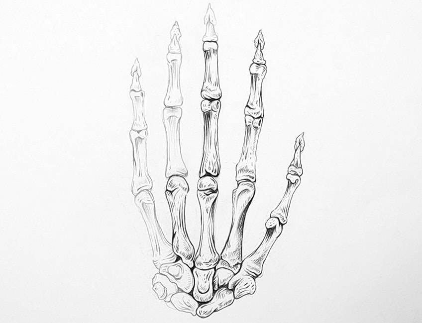 skeleton hand sketch 17