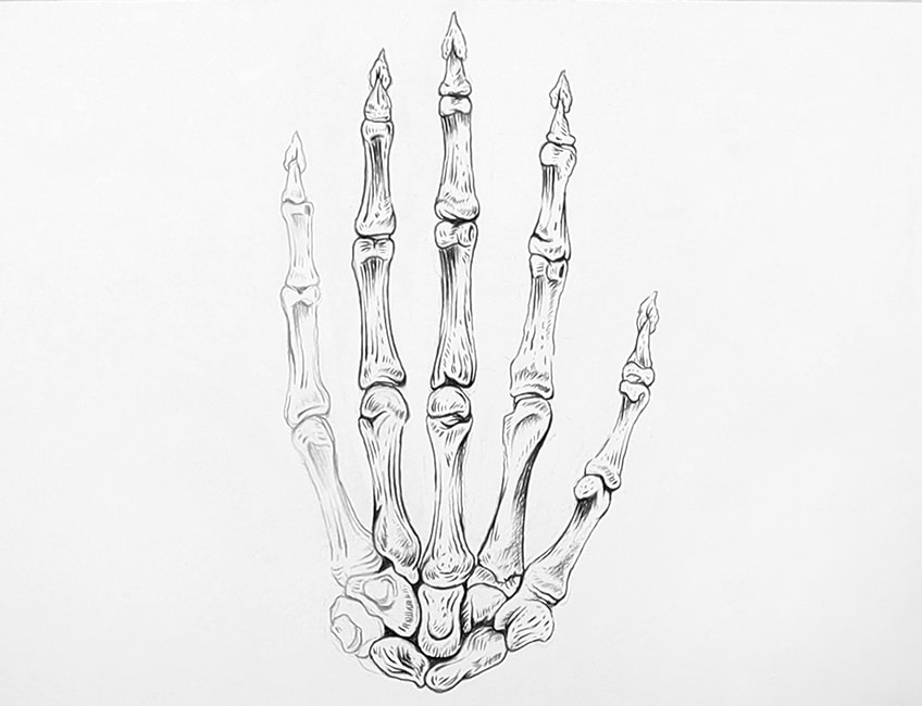 skeleton hand sketch 18
