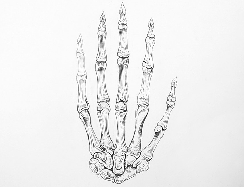 skeleton hand sketch 20
