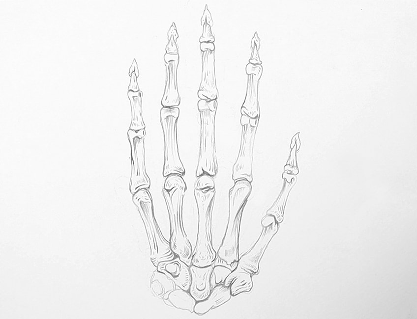 skeleton hand tutorial 13