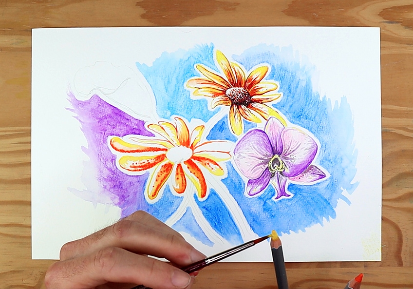 watercolor pencils drawings